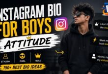 Instagram Bio for Boys Attitude